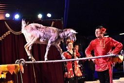 Посещение представления в цирке-шапито «Граф Орлов»