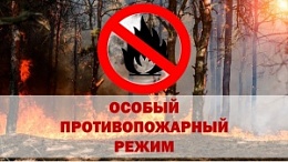 Особый противопожарный режим установлен во Владимирской области 
